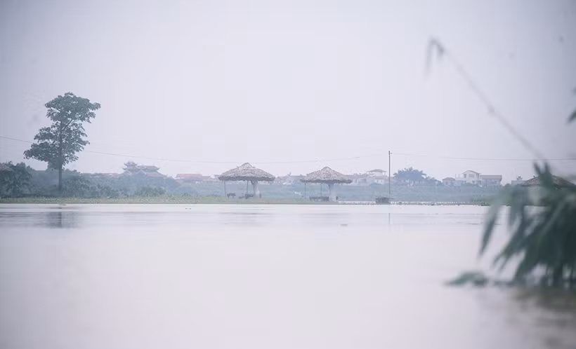 Nước sông Hồng chảy mênh mông qua phường Nhật Tân.