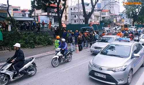 Chu tich Ha Noi kiem tra dot xuat cay xanh duong Pham Van Dong-Hinh-2