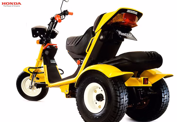 Road Fox cũng có cơ chế tương tự, tuy nhiên chiếc xe được thiết kế dành cho các hoạt động ngoài trời với phần thân đơn giản và tay lái tương tự những chiếc xe Chopper. Được giới thiệu vào năm 1984, chiếc xe biến mất khỏi thị trường vào năm 1985.