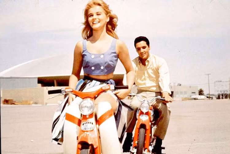 Theo Fujisawa, một chiếc xe máy bán chạy phải phù hợp với tất cả mọi người, từ các quốc gia phát triển tới đang phát triển, từ thành thị tới nông thôn. Nó cũng cần phải thật đơn giản để có thể "sống sót" tại các vùng hẻo lánh nhất, nơi mà đến dụng cụ sửa chữa còn thiếu thốn.