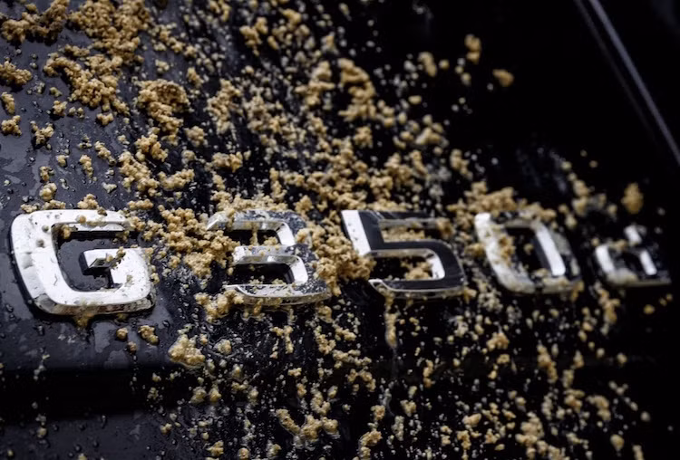 Bắt đầu từ tháng 6 này, hãng xe Mercedes-Benz sẽ bắt đầu mở đơn đặt hàng cho G350d Professional. Tại Đức, giá niêm yết của chiếc xe lên tới 79.968 Euro (tương đương 2 tỷ đồng).