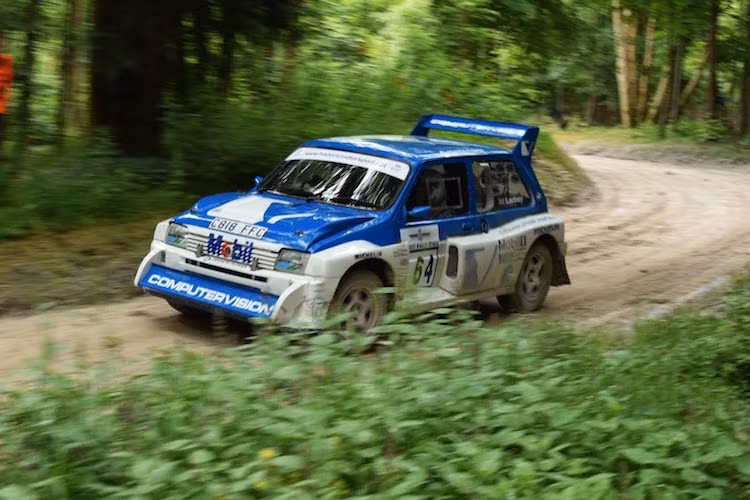 Theo các tay đua tranh tài, chặng đua rally ở Goodwood khá khó khăn khi được kết hợp từ nhiều điều kiện mặt đường khác nhau, kèm theo những khúc cua gắt, ụ đất và gò nổi có thể dễ dàng khiến tay đua "lạc tay lái".