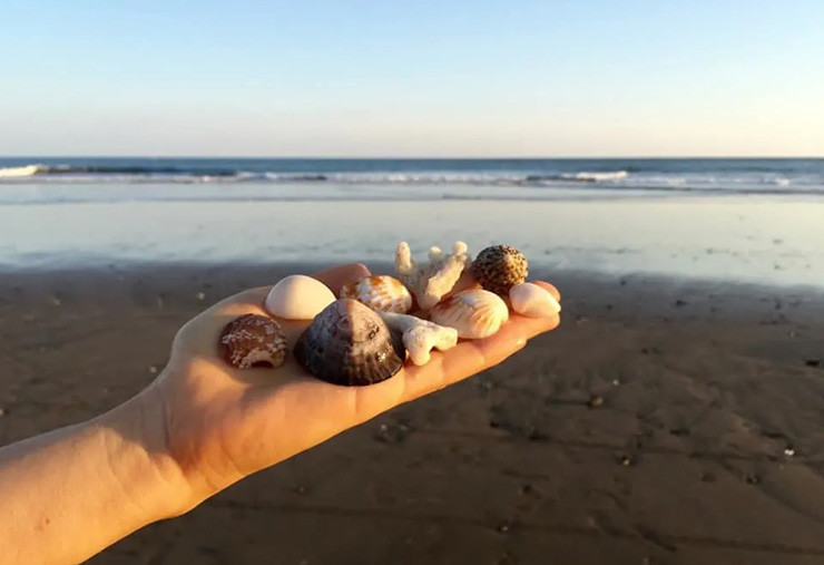 15. Ở hầu hết các vùng biển Thái Lan, tất cả thập san hô hoặc vỏ sò đều được bảo vệ và bạn không được phép mang về nhà, nếu không sẽ bị phạt rất nặng.