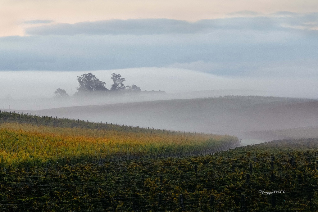 Sương giăng nhẹ mỗi sáng sớm hay mây trời ửng sắc trôi lãng đãng lúc chiều buông làm khung cảnh thêm phần lãng mạn. Năm 2021, dịch Covid-19 ở Mỹ vẫn kéo dài khiến nhiều hoạt động còn bị hạn chế. Những hoạt động tích cực ngoài trời, gần gũi với thiên nhiên - được chính quyền tiểu bang California khuyến khích - cũng ít nhiều giúp mọi người giảm bớt tâm lý căng thẳng, đồng thời giúp nâng cao thể trạng, trong bối cảnh đại dịch đã gây ra quá nhiều mất mát. Ảnh: Hai Nguyễn.