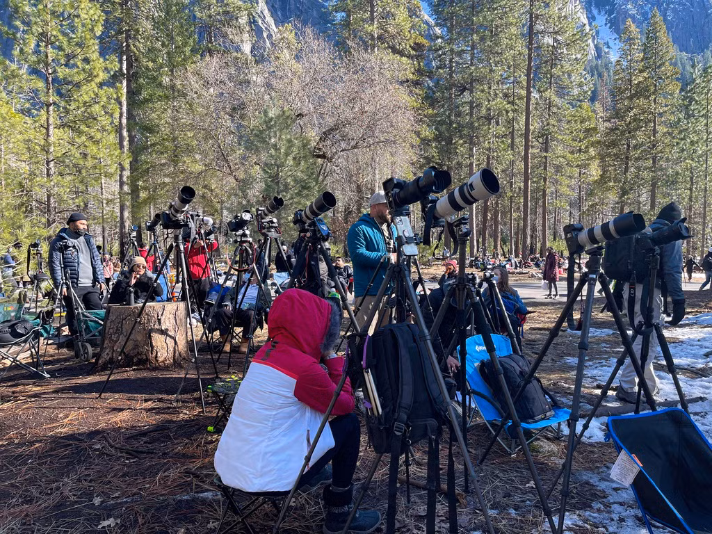 Khu rừng với tuyết trắng tạo nên cảnh tượng nên thơ nhưng nhiều người khó lòng tận hưởng điều đó vì đang ngóng đợi “nhân vật chính” suốt ngày dài giữa cái lạnh 0 độ C. Thấm mệt nhưng sợ bỏ lỡ khoảnh khắc đắt giá nên dù buồn ngủ tôi cũng không đành lòng đặt lưng xuống, chỉ ngồi trên tuyết dựa lưng vào gốc thông nghỉ một chút. Ảnh: Hai Nguyễn.