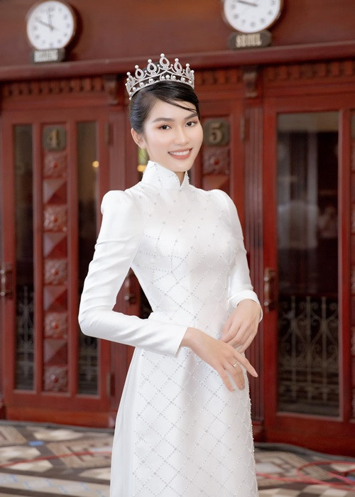 Bằng tuổi Thùy Tiên, Phương Anh sở hữu nhan sắc xinh đẹp không kém cạnh. Phương Anh cao 1m77, có số đo 3 vòng: 87-61-93. Năm 2020, Phương Anh đoạt danh hiệu á hậu 1 Hoa hậu Việt Nam 2020.