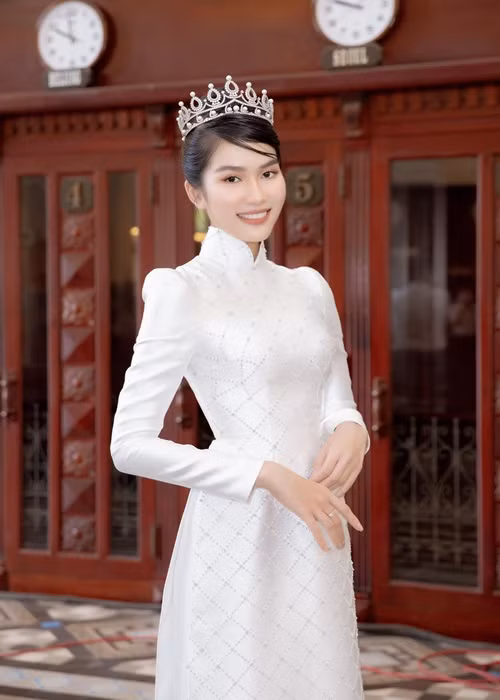 Bằng tuổi Thùy Tiên, Phương Anh sở hữu nhan sắc xinh đẹp không kém cạnh. Phương Anh cao 1m77, có số đo 3 vòng: 87-61-93. Năm 2020, Phương Anh đoạt danh hiệu á hậu 1 Hoa hậu Việt Nam 2020.