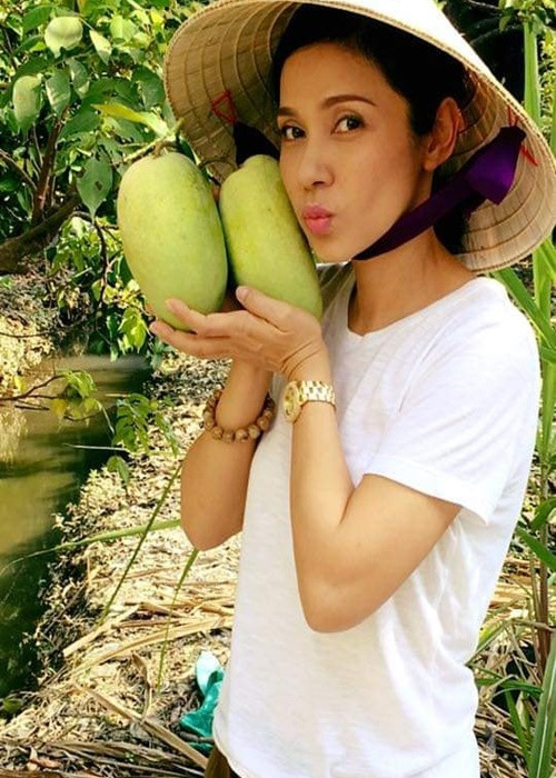 Trên Vnexpress, Việt Trinh nói thêm về quyết định giải nghệ: “Khi có cơ hội làm nhà sản xuất phim, hoặc quay các chương trình làm đẹp, nếu bản thân thấy phù hợp, tôi sẽ tham gia”.