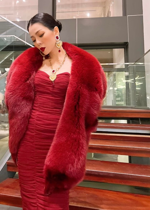 Lệ Quyên là nữ ca sĩ nổi tiếng nên đời sống riêng tư của cô luôn là chủ đề khán giả quan tâm. Ảnh: FBNV