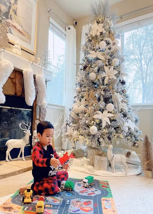 Bé Maximus là con trai đầu lòng của Phạm Hương và bạn trai doanh nhân. Cậu nhóc sinh ra đã "ngậm thìa vàng".