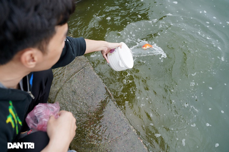 Mua truc thang, dot ca oto cung ong Cong, ong Tao, chuyen gia noi gi?-Hinh-3