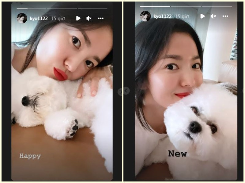 Nữ diễn viên Hàn Quốc Song Hye Kyo xinh đẹp bên chú cún cưng trong ngày đầu năm mới.