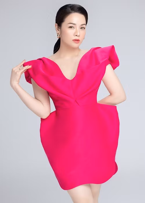 Khi đang trên đường đi diễn ở Bến Tre, Nhật Kim Anh gặp tai nạn xe hơi. Chiếc xe bị hư hỏng nặng. Rất may, Nhật Kim Anh và trợ lý vẫn an toàn.