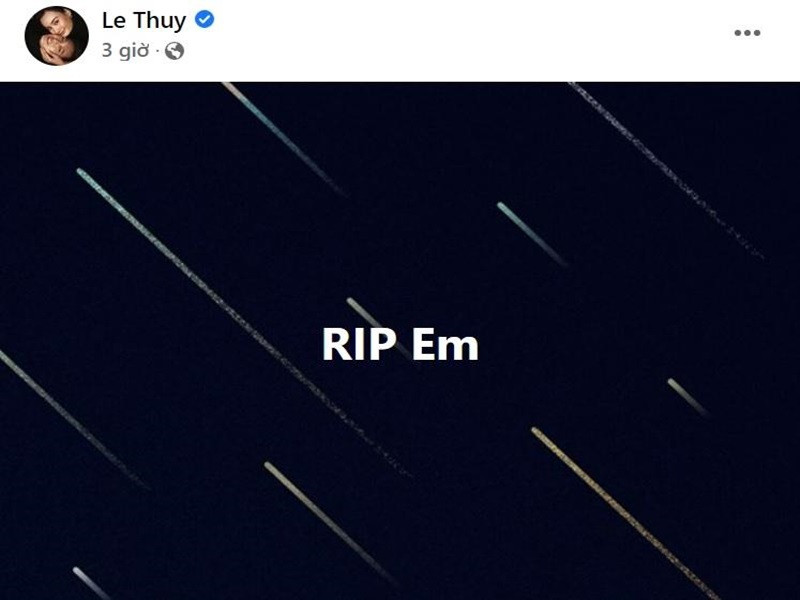 Hoàng Thùy, Lê Thúy từng tham gia cuộc thi Vietnam's Next Top Model 2011 giống Nguyễn Tuyết.