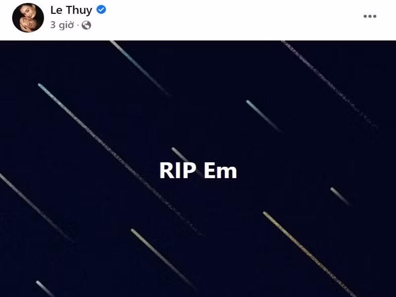 Hoàng Thùy, Lê Thúy từng tham gia cuộc thi Vietnam's Next Top Model 2011 giống Nguyễn Tuyết.