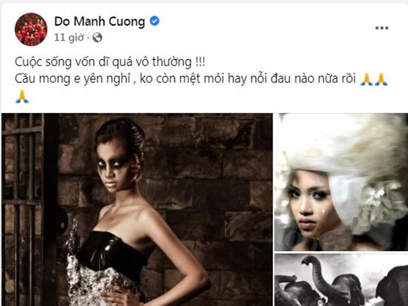 NTK Đỗ Mạnh Cường cũng bày tỏ sự tiếc thương trước sự ra đi đột ngột của Nguyễn Tuyết.