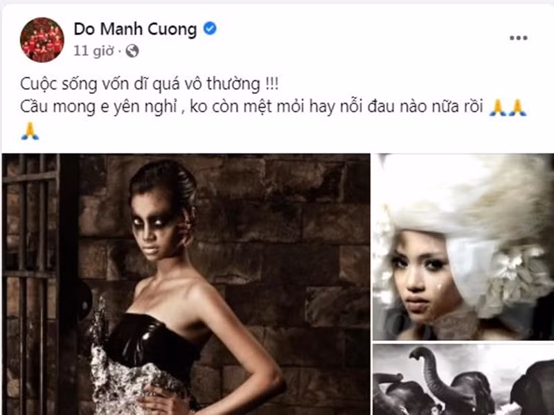 NTK Đỗ Mạnh Cường cũng bày tỏ sự tiếc thương trước sự ra đi đột ngột của Nguyễn Tuyết.