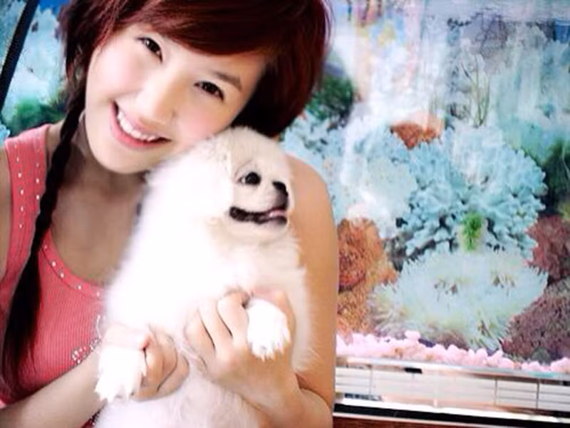 Bảo Thy xinh đẹp với nụ cười tươi và hàm răng đều tăm tắp cách đây 15 năm. Khi đó, cô chưa bước vào showbiz.