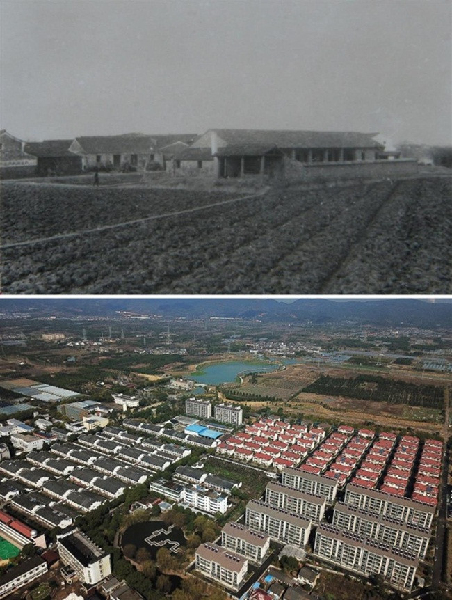 Từ làng nghèo, nay giàu có “đổi đời”, mỗi người thu nhập hơn 200 triệu/năm Tu lang ngheo, nay giau co “doi doi”, moi nguoi thu nhap hon 200 trieu/nam