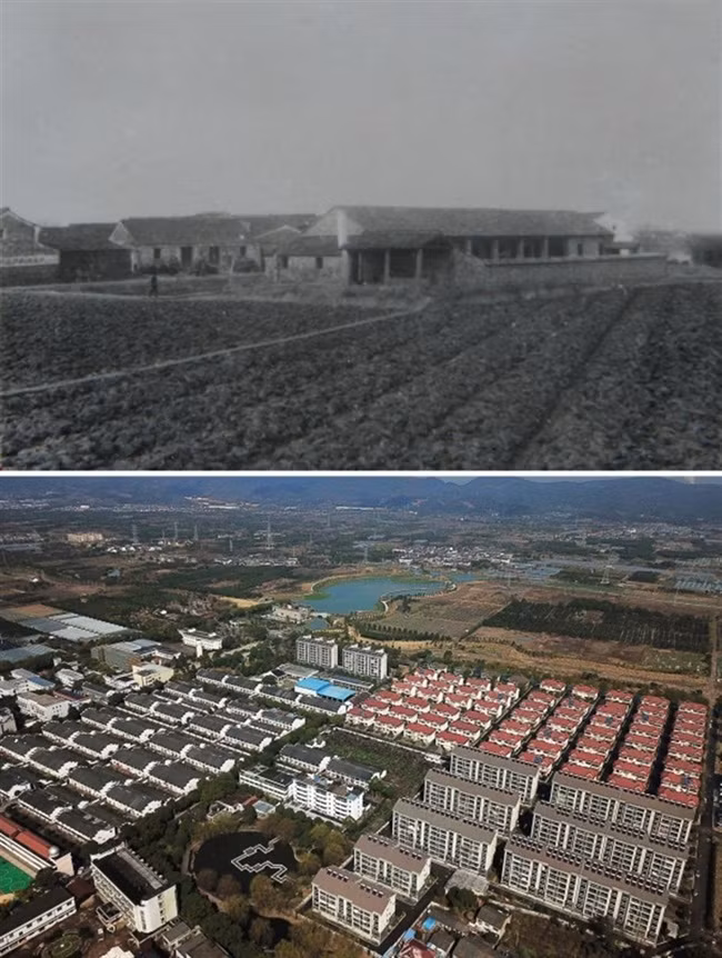 Tu lang ngheo, nay giau co “doi doi”, moi nguoi thu nhap hon 200 trieu/nam