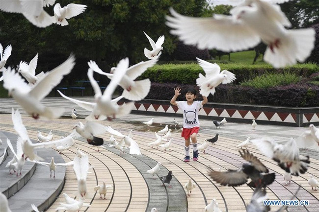 Riêng năm 2017, làng đón 1,23 triệu khách du lịch với doanh thu từ du lịch là 131 triệu nhân dân tệ.