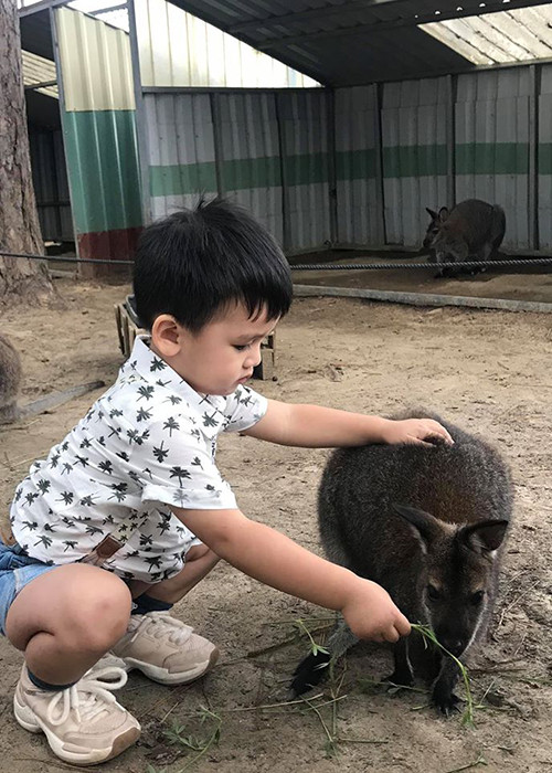 Bé Louis từng thường xuyên đi du lịch cùng bố mẹ.