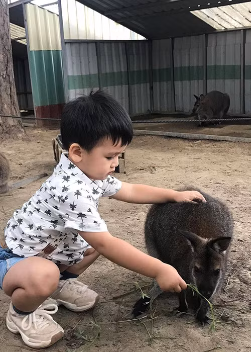 Bé Louis từng thường xuyên đi du lịch cùng bố mẹ.