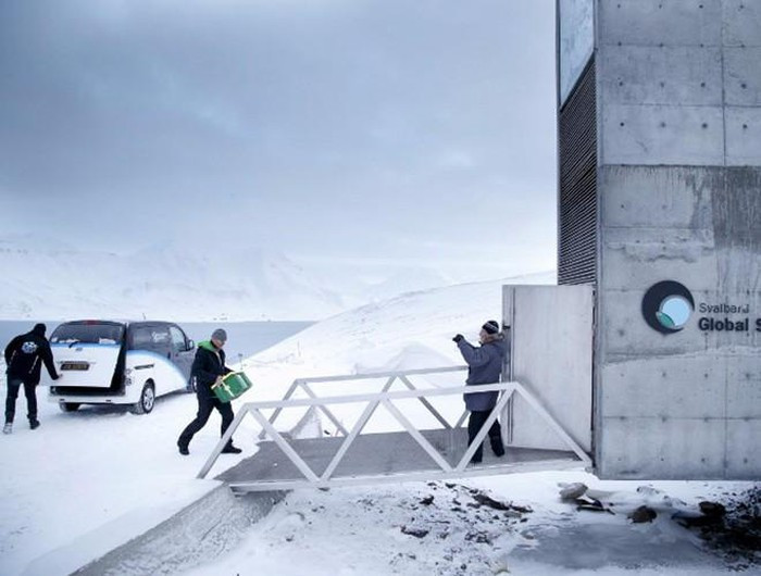 Với khoảng 850.000 mẫu hạt giống được lưu giữ liên tục ở nhiệt độ -18 độ C, căn hầm này còn là nguồn cung cấp hạt giống cho 1.750 ngân hàng hạt giống trên Trái Đất.