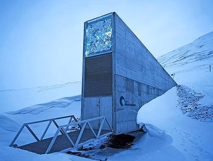 Được xây dựng từ năm 2008 dưới lớp băng vĩnh cửu, theo các chuyên gia, khu vực của hầm chứa này nằm ngoài vùng ảnh hưởng của chiến tranh, đồng thời gần như không chịu ảnh hưởng từ thảm họa thiên nhiên.