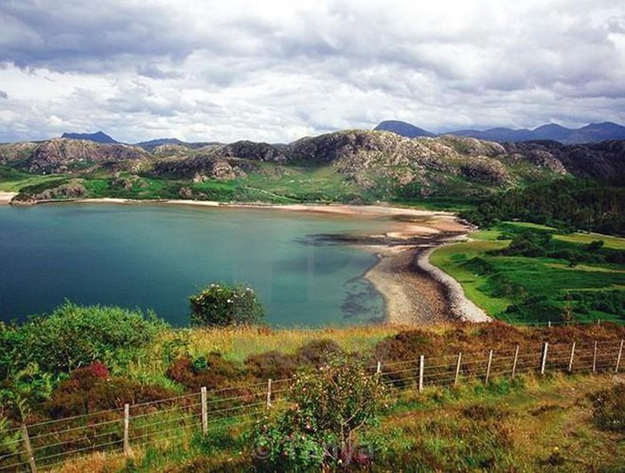 Sau đó, Scotland đã cố gắng để khử trùng đảo bằng cách phun nước biển và formaldehyde để diệt vi khuẩn bào tử còn lại. Tuy nhiên cách làm này chỉ thành công trong việc "làm sạch" đất ở bề mặt phía trên trên đảo.