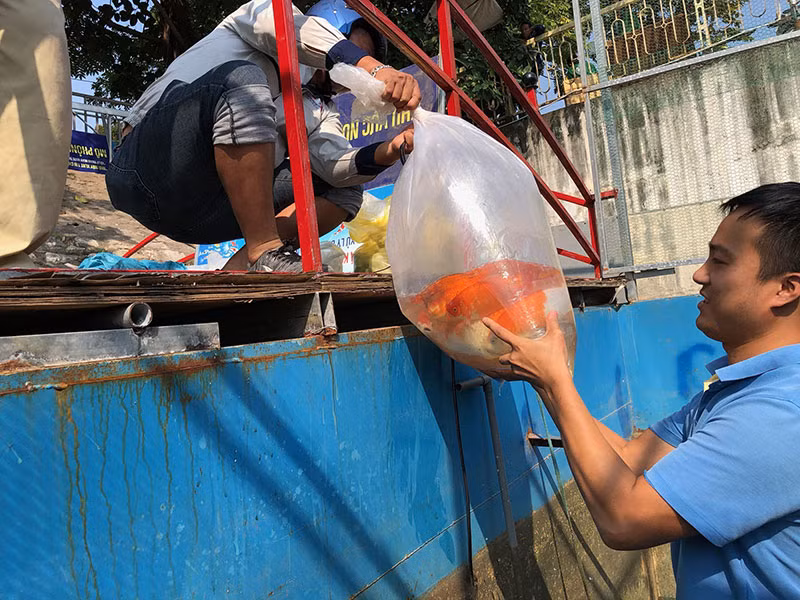 Chinh thuc thao do khu thi diem lam sach tren song To Lich-Hinh-2