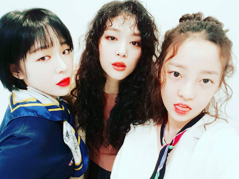 Sulli và Goo Hara đều là ca sĩ thần tượng. Trong khi Sulli là thành viên nhóm F(x) thì Goo Hara từng hoạt động trong nhóm Kara.