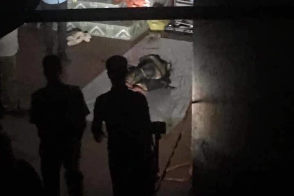  Giết vợ, tẩm xăng đốt xác rồi nhờ ông nội báo Công an: Ngày 15/11/2019, Bùi Văn Cường (23 tuổi ở Quỳnh Hội, Quỳnh Phụ, Thái Bình) bị công an bắt giữ để điều tra về hành vi giết người. Nạn nhân là chị Đặng Hoài P. (SN 2001), vợ của nghi phạm.