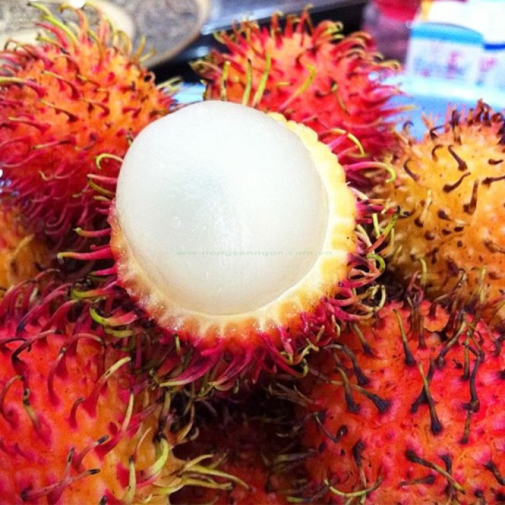 Chôm chôm cũng chứa chất chống oxy hóa mạnh, do đó nó giúp phòng ngừa ung thư hiệu quả. Ảnh nongsanngon.