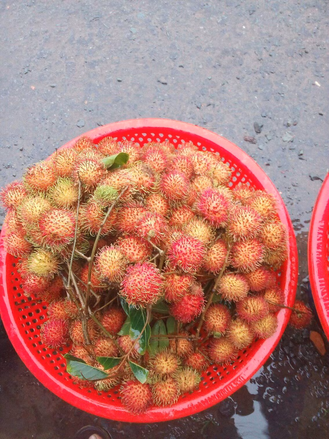 Hàm lượng lớn canxi và photpho có trong quả chôm chôm cũng giúp loại quả này đứng trong nhóm những loại quả có khả năng tăng cường sức khỏe cho xương. Ảnh traicaysach71.