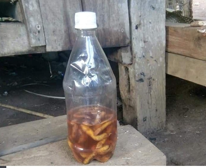 Canh bao tu vu hai cau chau tu vong do uong ruou ngam re cay