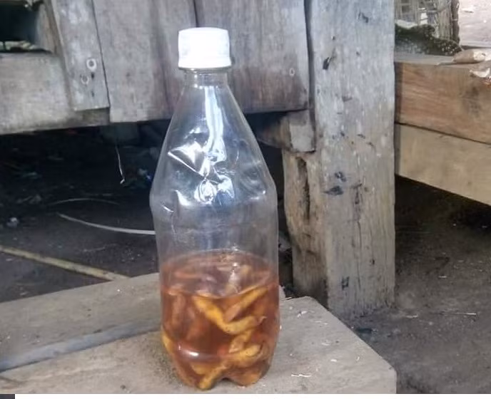 Canh bao tu vu hai cau chau tu vong do uong ruou ngam re cay