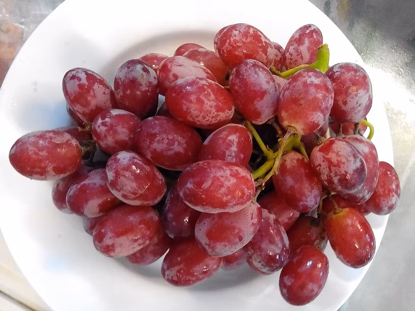 Thậm chí, theo một số chuyên gia, nếu ăn nho mỗi ngày, bạn có thể rút ngắn quá trình giảm cân mà không phải thay đổi quá nhiều chế độ ăn kiêng của mình. Ảnh greenyhouse.