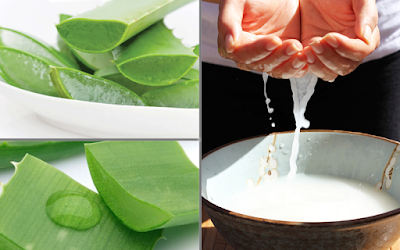 Đơn giản hơn, bạn có thể tận dụng nước vo gạo trộn với nhựa nha đam rồi thoa lên mặt trong 30 phút để trị nám da. Ảnh blogspot.