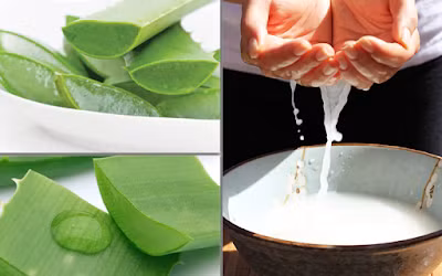 Đơn giản hơn, bạn có thể tận dụng nước vo gạo trộn với nhựa nha đam rồi thoa lên mặt trong 30 phút để trị nám da. Ảnh blogspot.