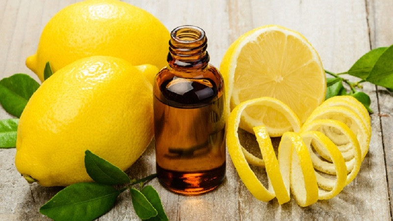 Vỏ chanh còn giúp tăng cường hệ miễn dịch, giúp cơ thể chống lại các bệnh nhiễm trùng, cảm cúm. Ảnh bachhoaxanh.