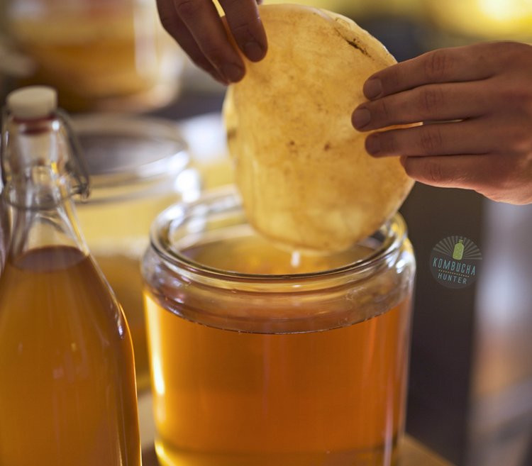 Kombucha là thức uống trà lên men khá phổ biến ở nhiều nước châu Á. Kombucha được lên men từ vi khuẩn và men, được cho là có nhiều lợi ích sức khỏe.