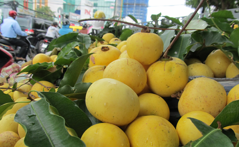 Đây là một trong những loại quả chứa khá cao hàm lượng Flavonoid hoạt chất tự nhiên có nhiều tác dụng như kháng viêm, kháng khuẩn. Ảnh nhansam.