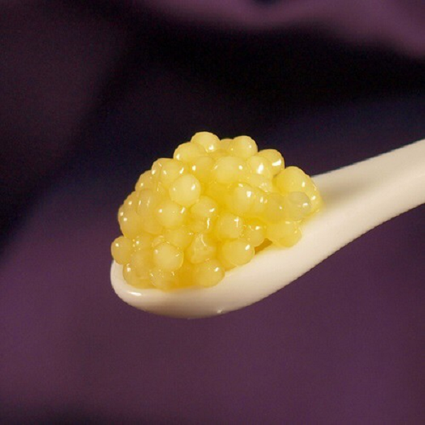 Một trang trại nuôi cá tầm bạch tạng ở Áo đã làm ra loại trứng cá có giá tới 114.000 USD/kg (khoảng 2,6 tỷ đồng). Mức giá này còn đắt hơn cả trứng cá tầm Beluga của Iran có giá bán 35.000 USD/kg.