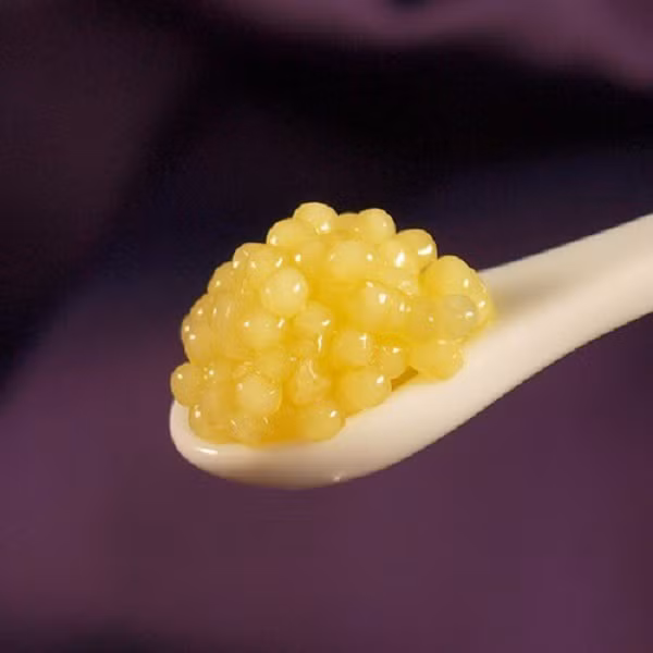 Một trang trại nuôi cá tầm bạch tạng ở Áo đã làm ra loại trứng cá có giá tới 114.000 USD/kg (khoảng 2,6 tỷ đồng). Mức giá này còn đắt hơn cả trứng cá tầm Beluga của Iran có giá bán 35.000 USD/kg.