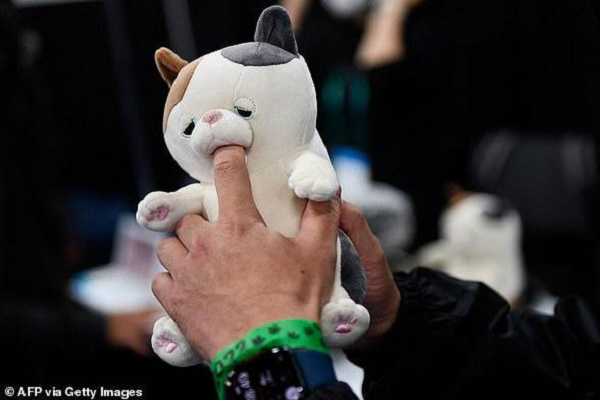 Mèo robot là một món đồ chơi âu yếm có hình một con mèo và có thể gặm ngón tay của bạn. Mèo robot được thiết kế để trở thành một sản phẩm giảm căng thẳng với 20 kiểu gặm nhấm khác nhau. Mỗi khi bạn đưa ngón tay vào miệng mèo robot, bạn sẽ cảm nhận được kiểu gặm lần này khác so với lần trước.