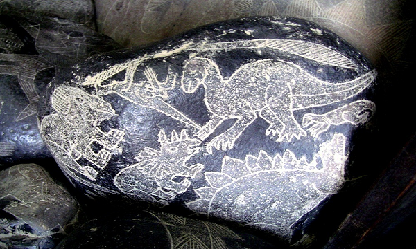 Vào thập niên 1960 giới khoa học tin rằng khủng long kéo lê đuôi khi bước đi, trong khi đó những hòn đá lại miêu tả khủng long vểnh đuôi lên. Đây là một trong những lý do khiến chúng bị xem là giả mạo và thiếu chính xác. Tuy nhiên, các nghiên cứu sau này cho thấy, khủng long rất có thể vểnh đuôi lên khi bước đi, giống như mô tả trên hòn đá.