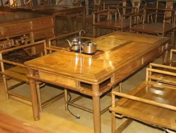 Không những thế, cây Kim Tơ Nam Mộc đã được chính phủ liệt vào danh sách các loài thực vật được bảo vệ cấp quốc gia. Vì vậy, loại cây này chỉ có thể trồng chứ không thể chặt.