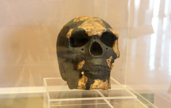 Suốt 6 thập kỷ, các nhà khoa học đã cố gắng xác định niên đại của bộ hài cốt này nhưng không thể đưa ra con số chính xác. Tuy nhiên nhờ phương pháp phân tích trên, câu trả lời chuẩn xác chính là: 230.000 tuổi.