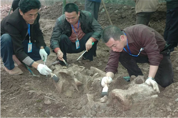 Hôm sau, 2 cha con cùng tới nơi tìm thấy "tảng đá" và tiếp tục đào. Sau 1 hồi, cả 2 tìm thấy thêm 1 số tảng đá rời rạc với hình thù khác nhau. Họ nhận thấy rằng, những tảng đá này cùng với thứ trước đó người nông dân nhặt được là cùng 1 loại.